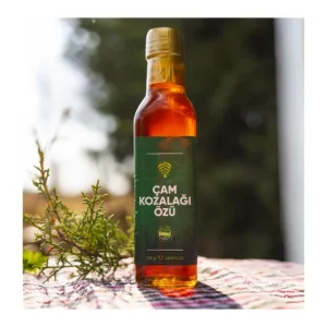 Çam Kozalağı Özü 320 GR